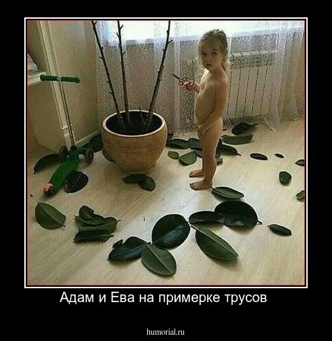 Адам и Ева на примерке трусов 