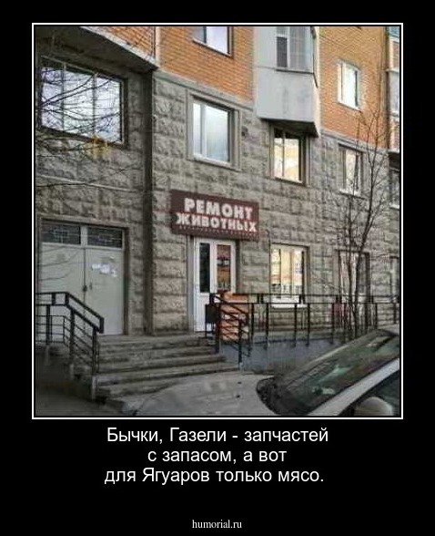 Бычки, Газели - запчастей с запасом, а вот для Ягуаров только мясо.

 