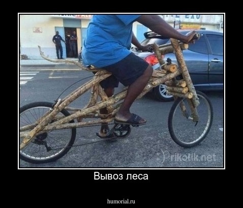 Вывоз леса