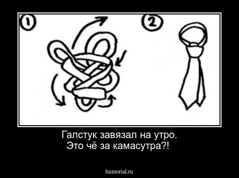 Галстук завязал на утро. Это чё за камасутра?!