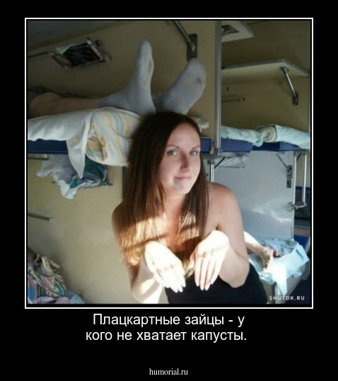 Плацкартные зайцы - у кого не хватает капусты.