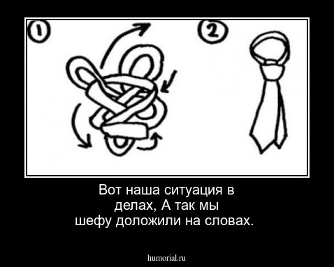 Вот наша ситуация в делах,
А так мы шефу доложили на словах.