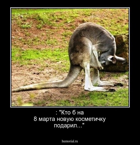 : "Кто б на 8 марта новую косметичку подарил..."