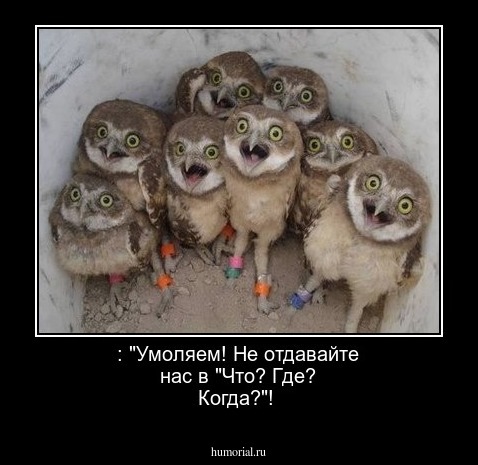  : "Умоляем! Не отдавайте нас в "Что? Где? Когда?"!