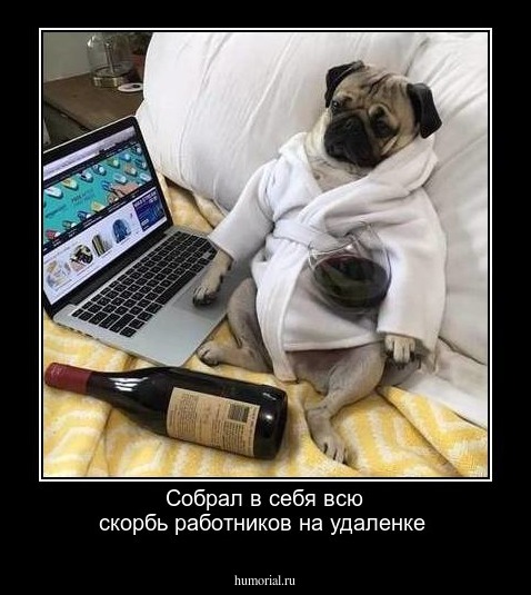 Собрал в себя всю скорбь работников на удаленке
