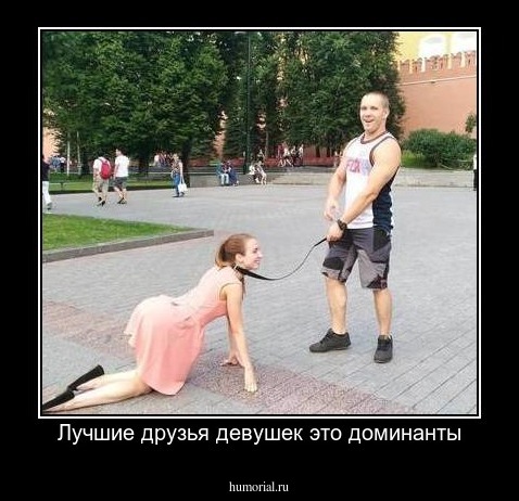 Лучшие друзья девушек это доминанты