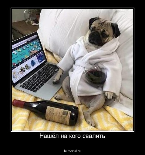 Нашёл на кого свалить