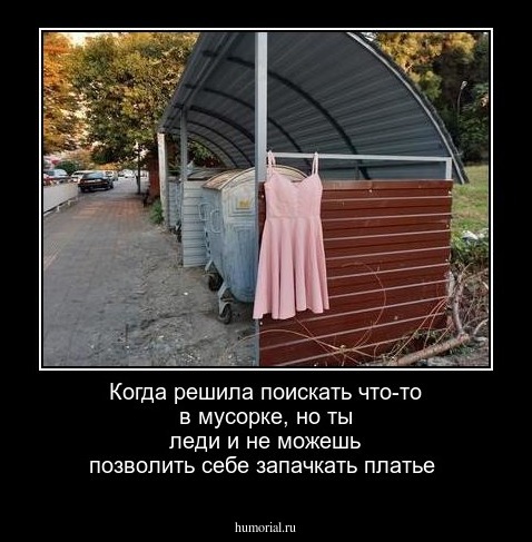 Когда решила поискать что-то в мусорке, но ты леди и не можешь позволить себе запачкать платье 