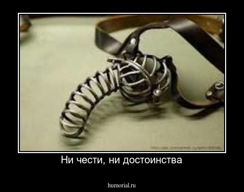 Ни чести, ни достоинства