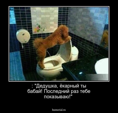 : "Дедушка, ёкарный ты бабай! Последний раз тебе показываю!"
