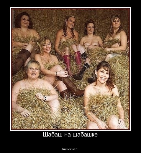 Шабаш на шабашке