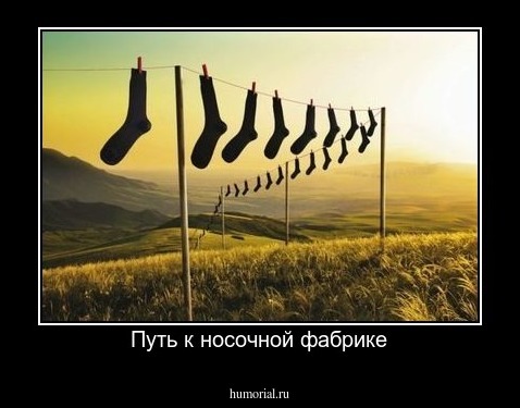 Путь к носочной фабрике