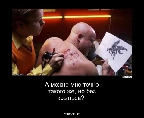 А можно мне точно такого же, но без крыльев?