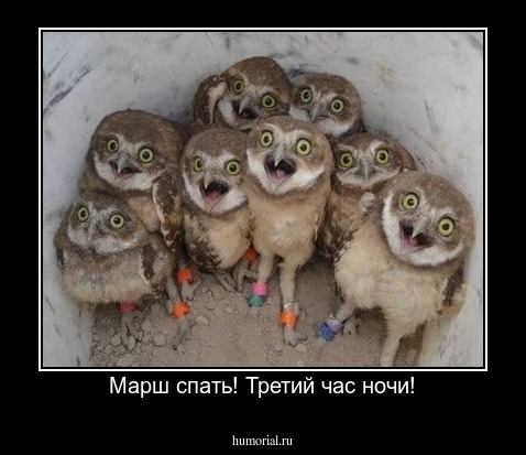 Марш спать! Третий час ночи!