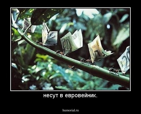 несут в евровейник.