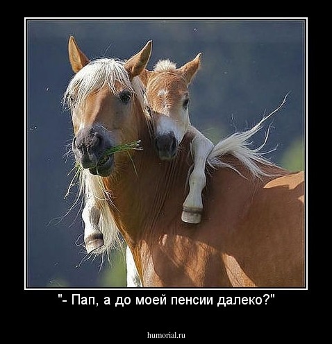 "- Пап, а до моей пенсии далеко?"