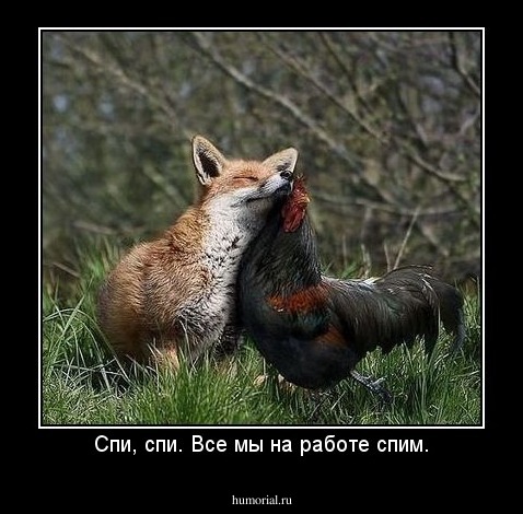 Спи, спи. Все мы на работе спим.