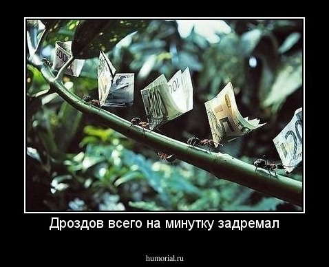 Дроздов всего на минутку задремал