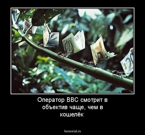 Оператор BBC смотрит в объектив чаще, чем в кошелёк