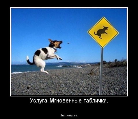 Услуга-Мгновенные таблички.