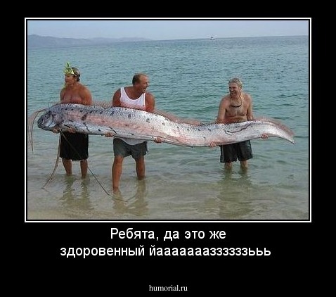 Ребята, да это же здоровенный йаааааааззззззььь