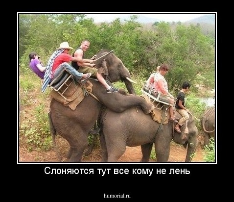 Слоняются тут все кому не лень