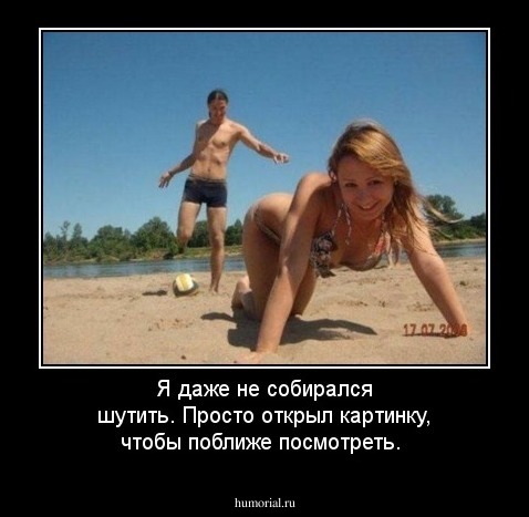 Я даже не собирался шутить. Просто открыл картинку, чтобы поближе посмотреть. 