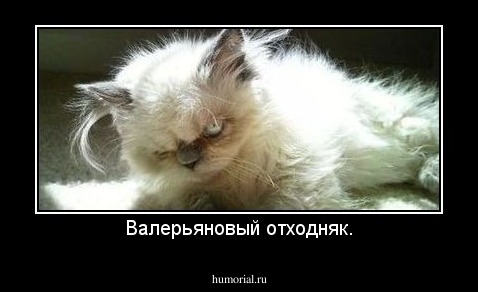 Валерьяновый отходняк.