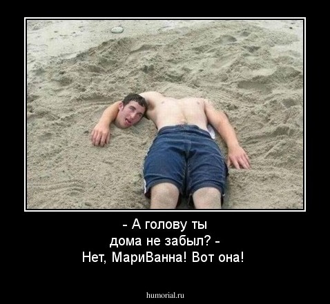 - А голову ты дома не забыл?
- Нет, МариВанна! Вот она!