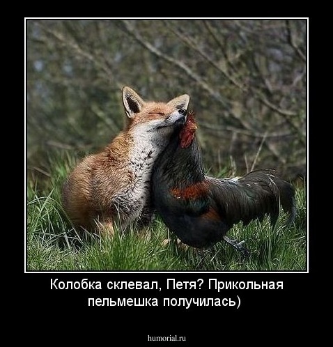 Колобка склевал, Петя? Прикольная пельмешка получилась)