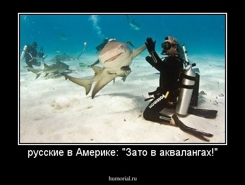 русские в Америке: "Зато в аквалангах!"