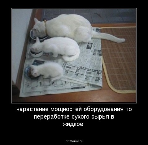 нарастание мощностей оборудования по переработке сухого сырья в жидкое