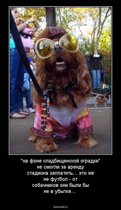 *на фоне кладбищенской оградки* не смогли за аренду стадиона заплатить... это же не футбол - от собачников они были бы не в убытке...
