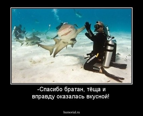 -Спасибо братан, тёща и вправду оказалась вкусной!