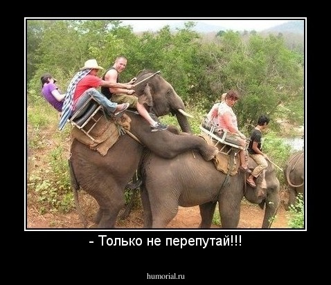 - Только не перепутай!!!