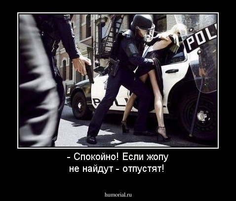 - Спокойно! Если жопу не найдут - отпустят!