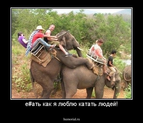 е#ать как я люблю катать людей!