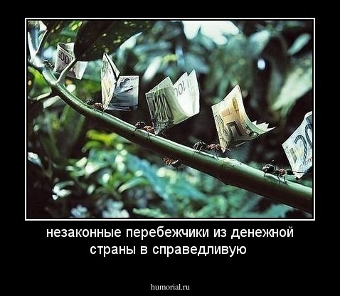 незаконные перебежчики из денежной страны в справедливую 