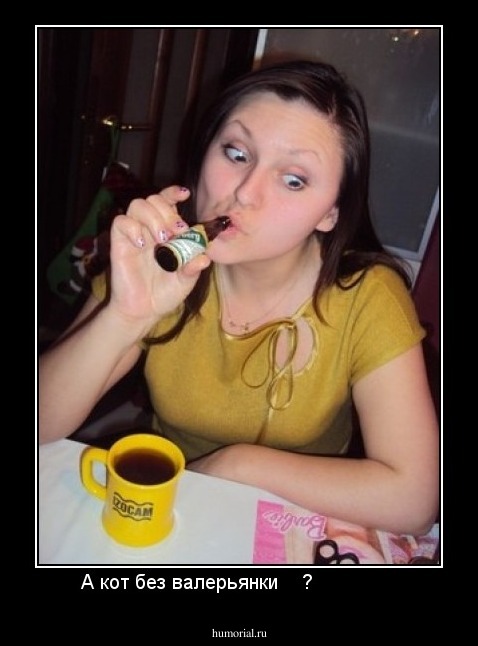 А кот без валерьянки    ?              