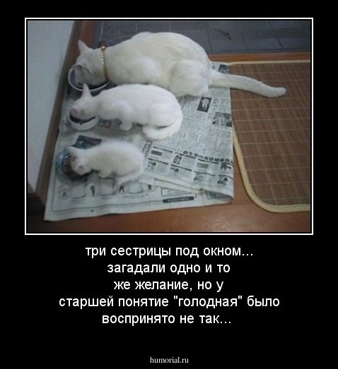 три сестрицы под окном... загадали одно и то же желание, но у старшей понятие "голодная" было воспринято не так...