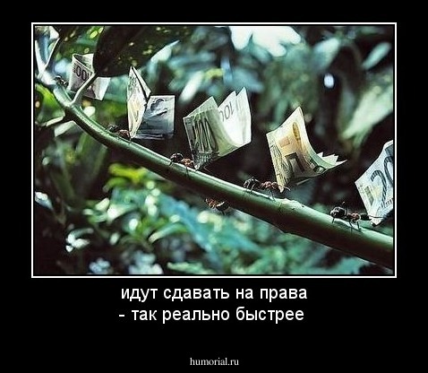 идут сдавать на права - так реально быстрее 