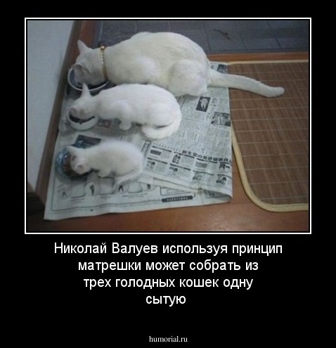 Николай Валуев используя принцип матрешки может собрать из трех голодных кошек одну сытую