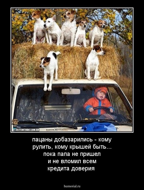 пацаны добазарились - кому рулить, кому крышей быть... пока папа не пришел и не вломил всем кредита доверия