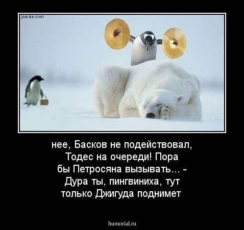 нее, Басков не подействовал, Тодес на очереди! Пора бы Петросяна вызывать... - Дура ты, пингвиниха, тут только Джигуда поднимет