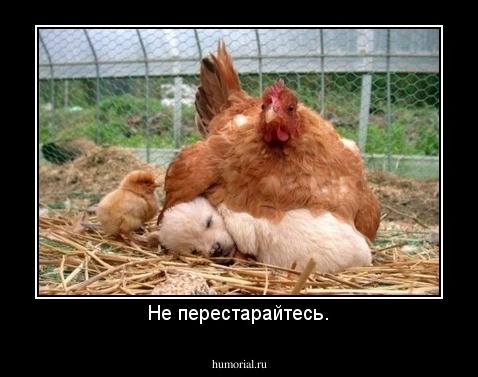 Не перестарайтесь.