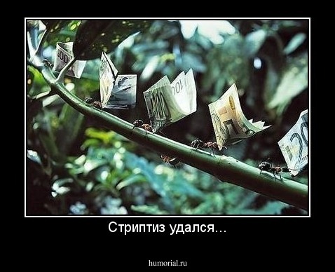 Стриптиз удался...