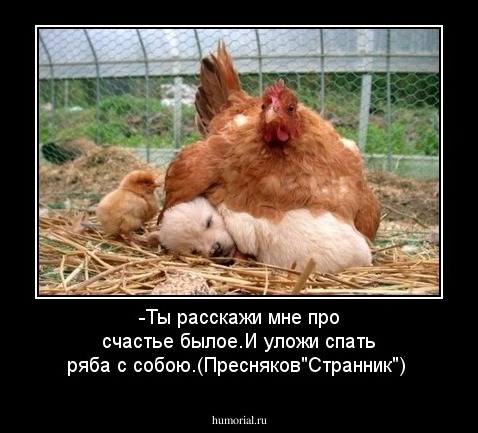 -Ты расскажи мне про счастье былое.И уложи спать ряба с собою.(Пресняков"Странник")