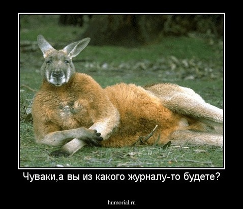 Чуваки,а вы из какого журналу-то будете?