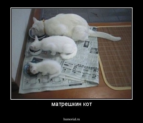 матрешкин кот