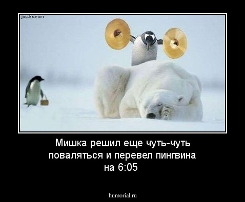 Мишка решил еще чуть-чуть поваляться и перевел пингвина на 6:05